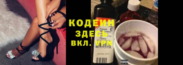 индика Беломорск