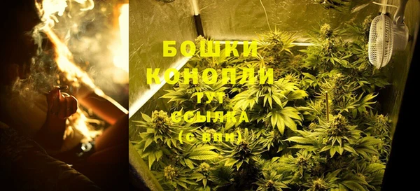 индика Беломорск