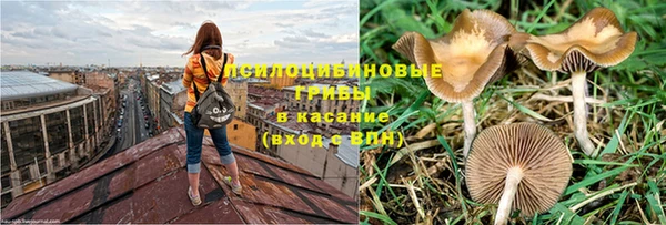 скорость Белокуриха
