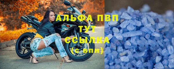 сатива Алзамай