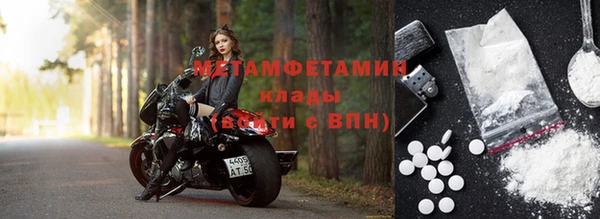 сатива Новокубанск