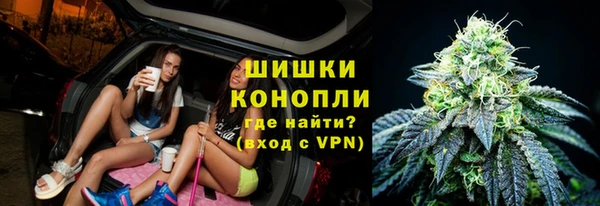 индика Беломорск